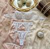 Y Cross-Border Transparent Mesh Lingerie Set: Sexy Three-Piece Women's See-Through Bra