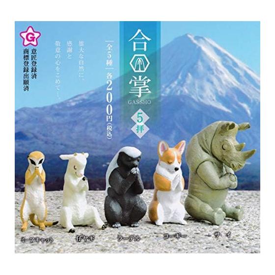 Gassho 5 worship all 5 types set