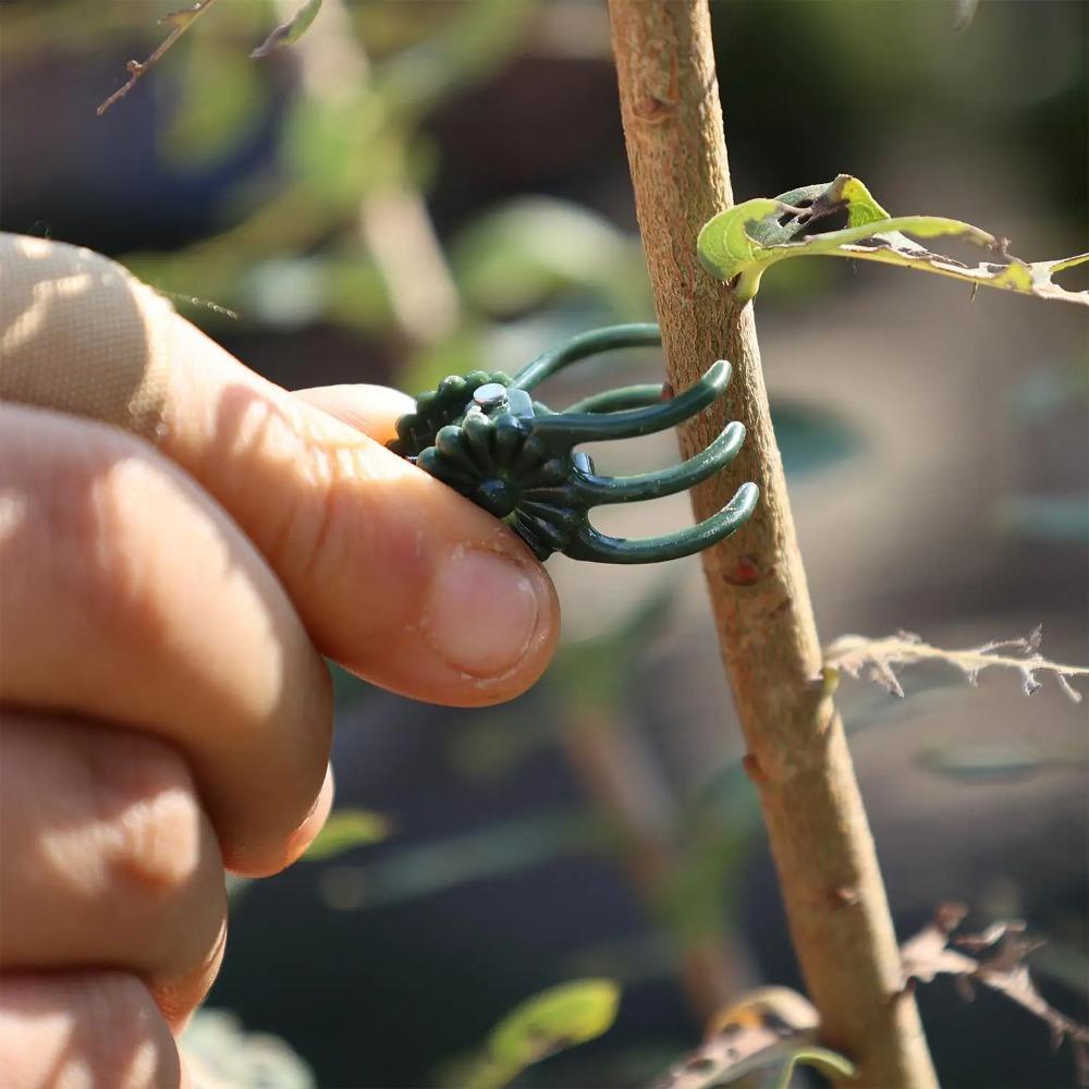 50/100Pcs Garden Plant Clips Butterfly Orchid Support Clamp Flower Stem Vine Tied Clip Fruit Vegetable Grafting Garden Tools
