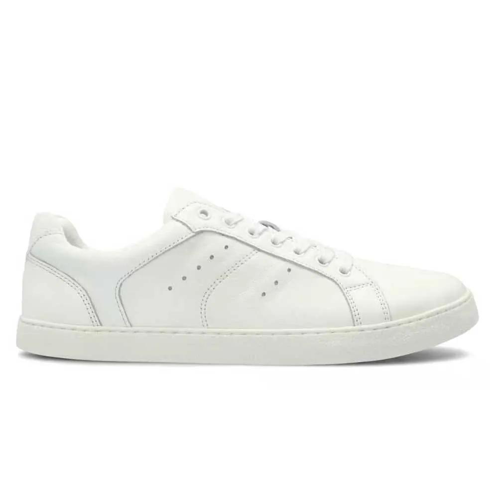 Groundies Sneakers Universe