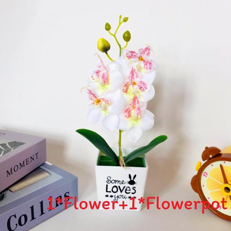 Love Pot Phalaenopsis Potted Green Plant Decorations For Home Decor Ideas Gift