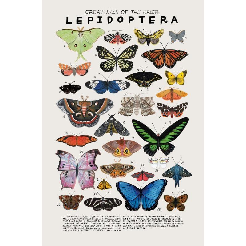 Woodland Animals Genus Generic evolution Nursery Posters Child Educate Prints Canvas Painting Wall Art Pictures Room Home Decor