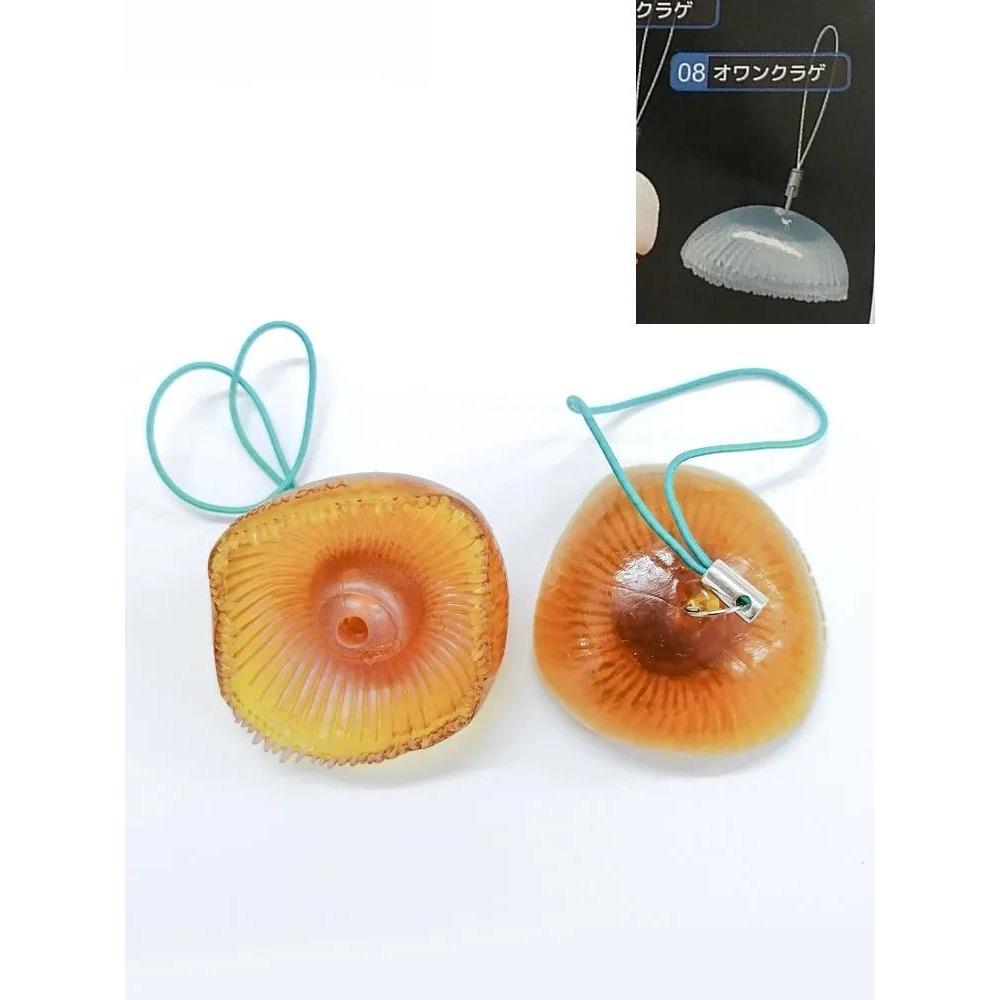 Jellyfish Keychain Capsule Toy Simulation Marine Organism Model Toy Stereogram Gacha Pendants Gifts
