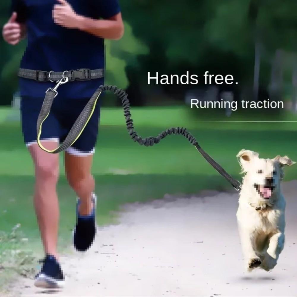 Double Stretch Running Dog Leash Reflective Dog Traction Rope Pet Walking Leash  for Dogs Cats