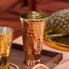 Tumbler with Lid Serving Copper Glass with Brass Lid Tamba Glass with Ayurvedic Health Benefits Ptal Brass and Copper Utensils (600 Ml Tumbler Glass)