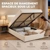 Lit Box 160 x 200 cm, RGB LED, Adjustable Head, Double Upholstered Velvet Bed Frame, Hydraulic Storage, Cream
