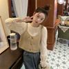 Autumn Energetic Girl Button-Up Cropped Vest & Versatile Shirt Set