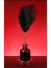 Miji 48-Piece Ostrich Feather Teaser Stick Set for Couples