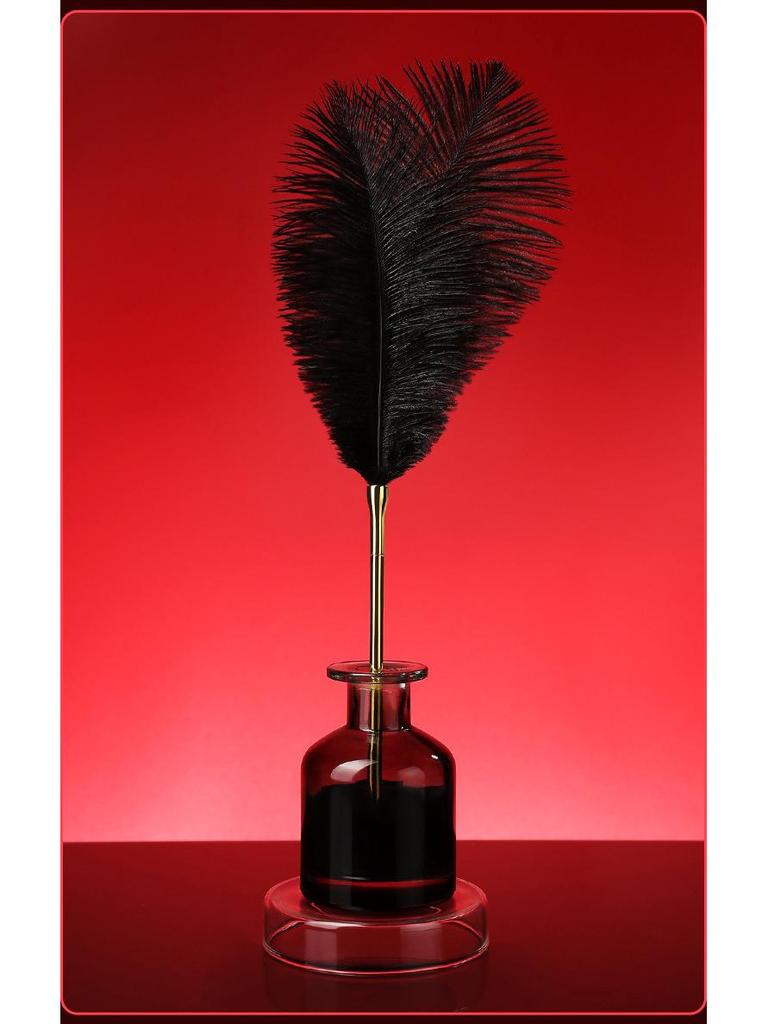 Miji 48-Piece Ostrich Feather Teaser Stick Set for Couples