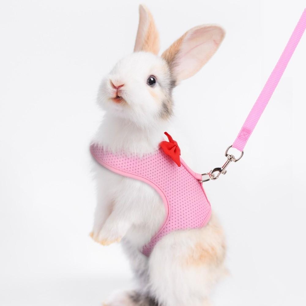 Polyester Rabbit Harness Vest Breathable Pet Walking Leash New Bunny Harness Leash  Small Pets Use