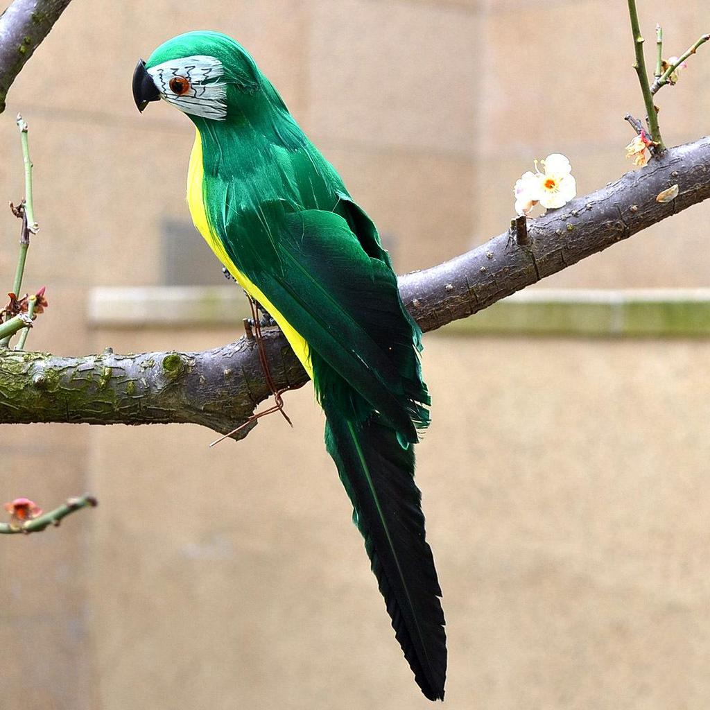 Neidische Porzellan-Papageienfigur mit Federn: Kleines Vogelmodell zur Dekoration für Haus und Garten