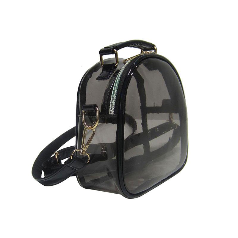 black transparent purse