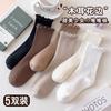 White socks women's autumn and winter tube socks cute trendy mink velvet thickened warm furry stockings