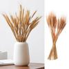 50pcs DIY Craft Dry Wheat Spikes Natural Dried Flowers Dried Wheat Stalks  Christmas Decoration