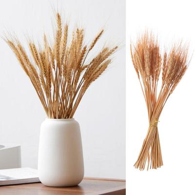 50buc Artizanat DIY Tije de Grâu Uscat Flori Naturale Uscate Spiculete de Grâu Uscate Decorațiune de Crăciun