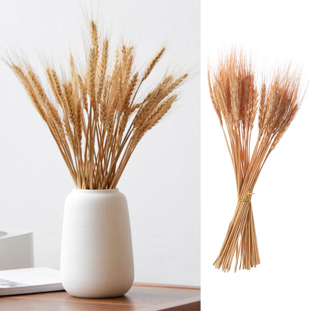 50pcs DIY Craft Dry Wheat Spikes Natural Dried Flowers Dried Wheat Stalks  Christmas Decoration