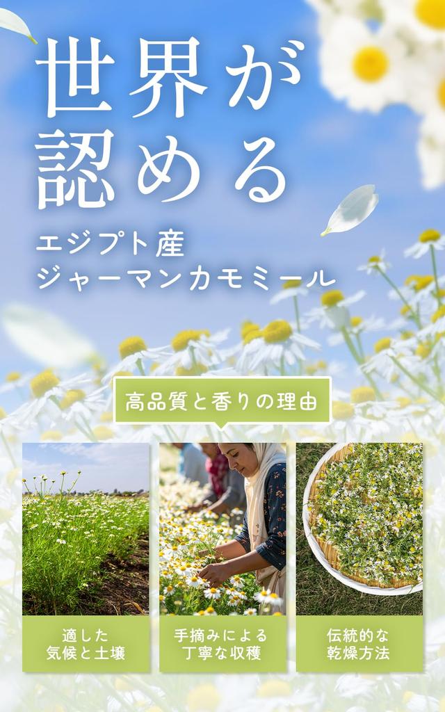 Kiboya Calming Chamomile Tea 1.5g×17 Bags Caffeine-Free Herbal Tea Promotes Good Sleep Residual Pesticide Test Passed Suitable for Cold Brew