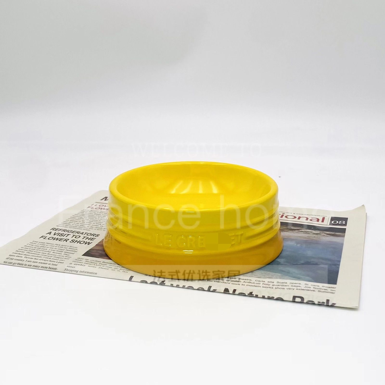 

12 см/5 см французская радужная домашняя миска для домашних животных с короткими ножками керамическая миска для кошек и собак большой емкости непроливающаяся миска для закусок градиентный цвет 12cm 5cm