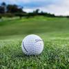 Titleist Velocity Golf Balls (1 Dozen) [Parallel Import]