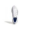 Adidas Adizero Boston 9 'Silver Metallic Royal Blue' Tenisky EG4672