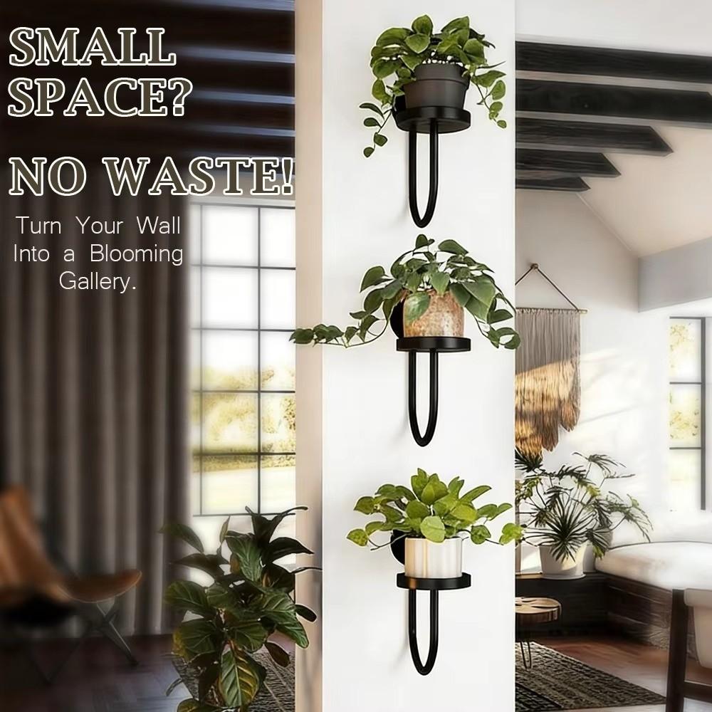 Bonsai Hanging Hanging Plant Stand Space Saving Planter Rack Storage Shelf  Window Placement