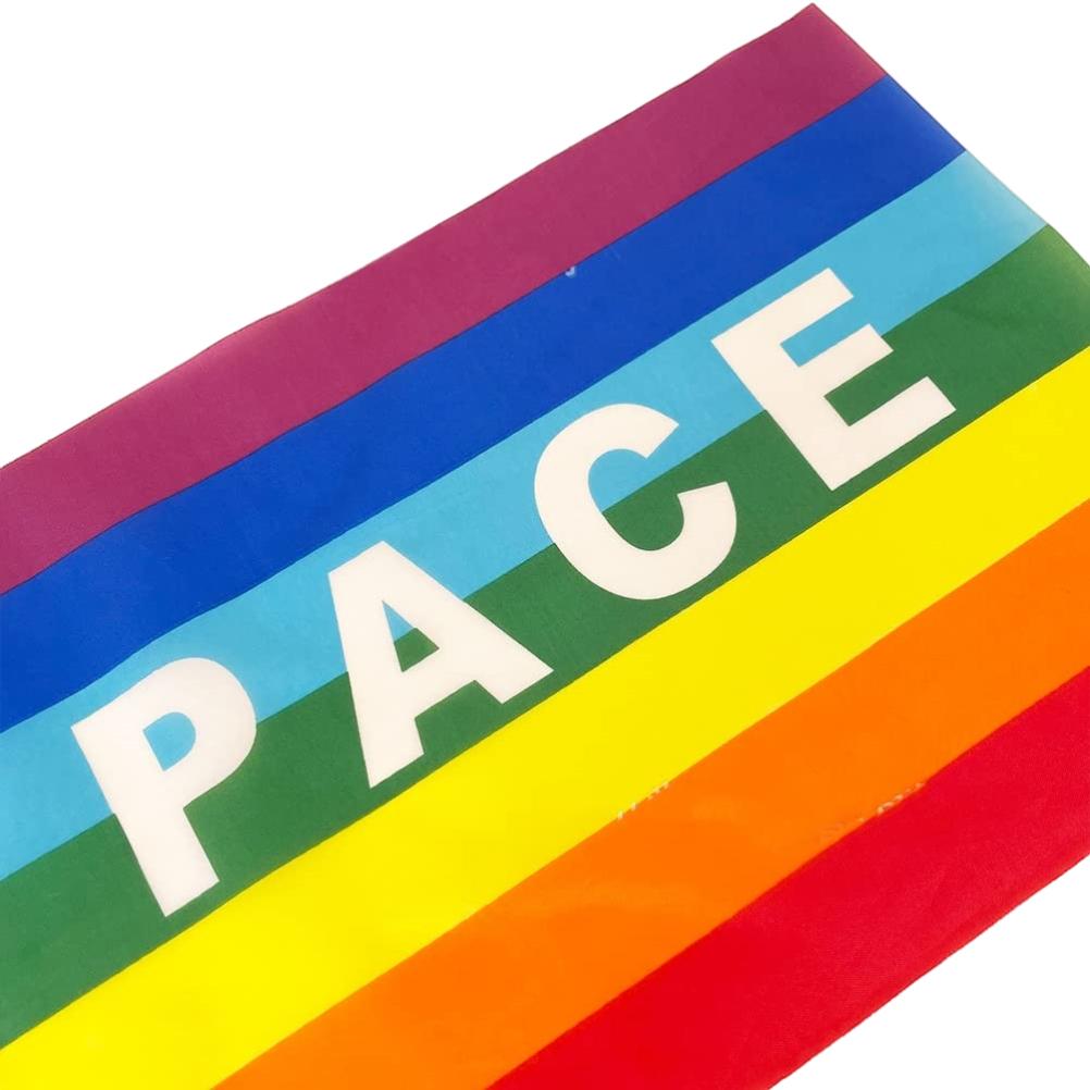 50/100Pcs Mini Peace Flag Rainbow Pacifist Flag Hand Held Polyester Peace Flag