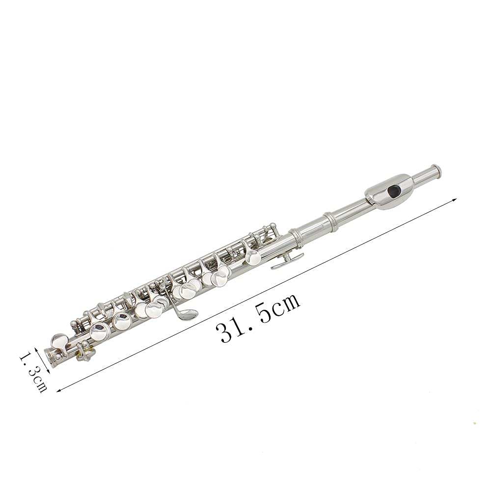 Cryfokt 16-hole Piccolo, Educational Wind Instrument for Band Performances for Beginners (silver), CRYFOKTTQK76I30GA-02