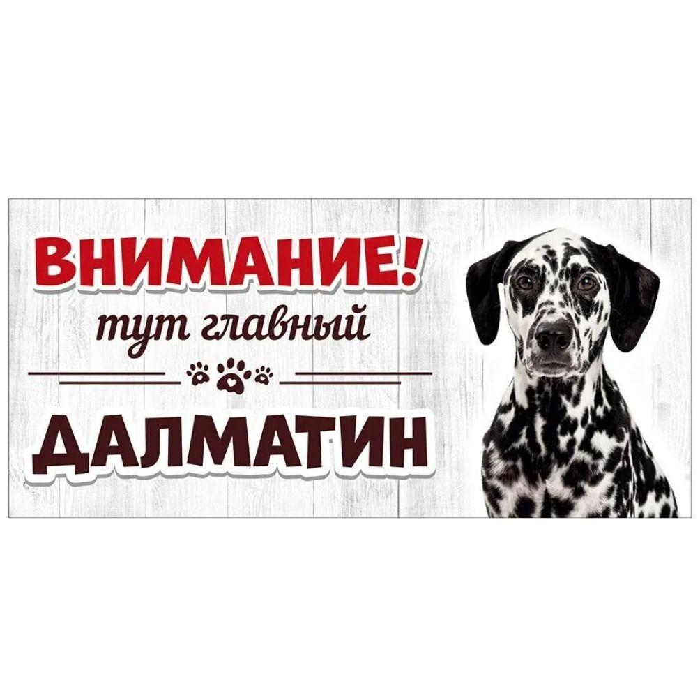 Evil Pomeranian Spitz Sign, Metal Fence Door Plaque 30x15cm