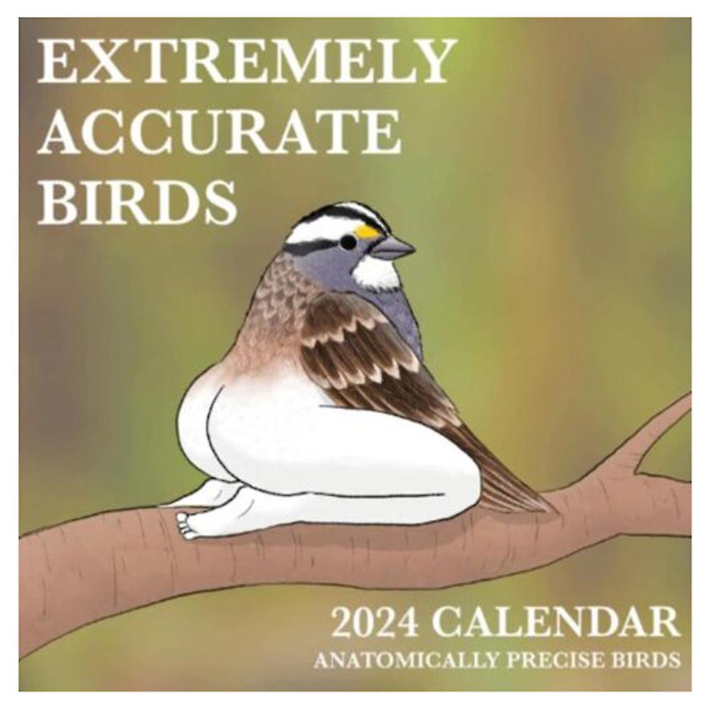 Calendar of Extremely Accurates Birds Wall Calendar Modern Calendar Decoration for Bedroom Living Room