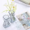 Centerpieces Transparent Irregular Vase Hydroponic Art Plant Bottle  Desktop Display