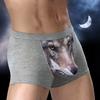 Men Erotic Clothing Sexy Men Underwear New Cotton Sexy Men Boxers Comfortable Underwear For Man