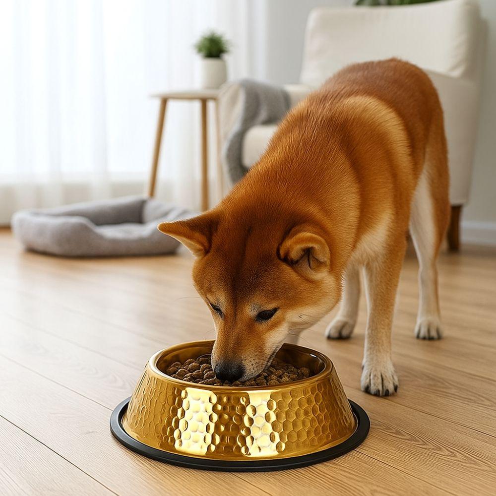 Large Capacity Pet Feeding Bowl Gold Plated Stainless Steel Dog Drinking Basin Metal Anti Slip Dog Food Basin For Dogs Cats