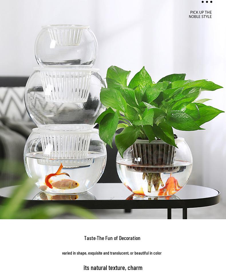 Modern Minimalist Hydroponic Glass Vase for Pothos & Green Plants - Living Room Desk Decor
