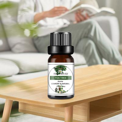10 ml di essenza aromatica olio contagocce design fragranza di lunga durata olio aromatico solubile in acqua fresco