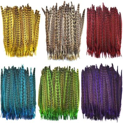 10 Pz Piume Colorate Naturali di Fagiano Femmina per Decorazione Artigianato Lunghe Piume di Pollo Decorazione Accessori Carnevale