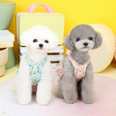 Giyim ve ayakkabı – Köpek elbiseleri
