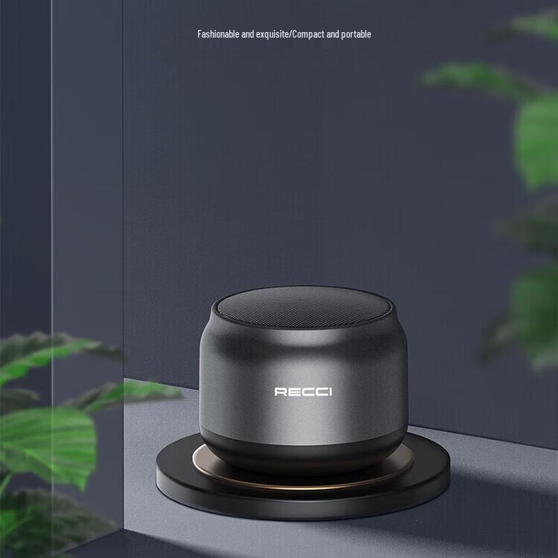 

Recci RSK-W13 Portable Bluetooth Speaker
