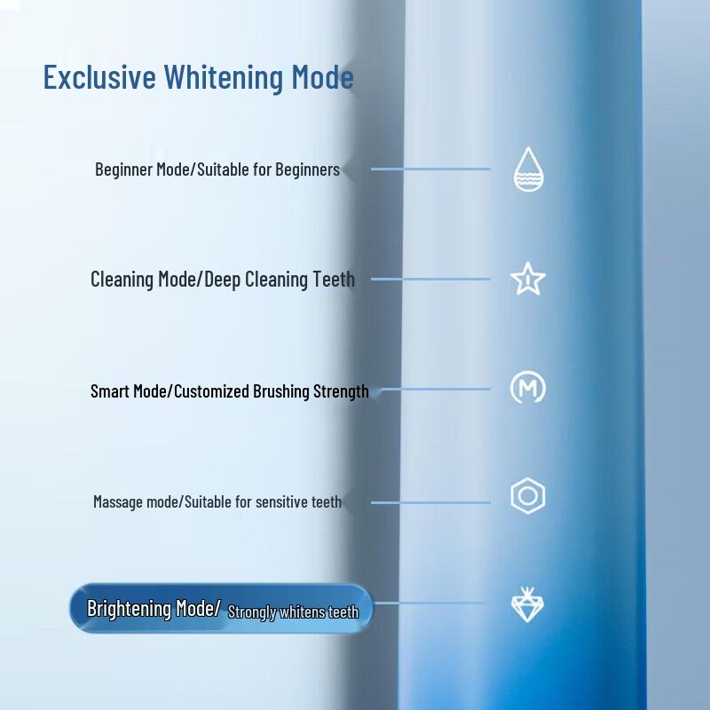 Byer Sonic Rechargeable Electric Toothbrush Gift Set