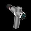 Shangheng LCD Massage Gun CN Plug (adapter Included)