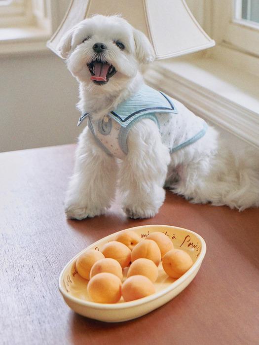 

CROOKTHECHIHUAHUA Sailor Collar Sleeveless Top (2color) Fine Flower Charcoal