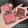Blush 3D Opaco Color Albicocca Marrone - Trucco Nudo a Bassa Saturazione per Principianti e Influencer