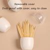 Magnetic Suction Type Toothpick Box Plastic Toothpick Jar Portable Toothpick Dispenser