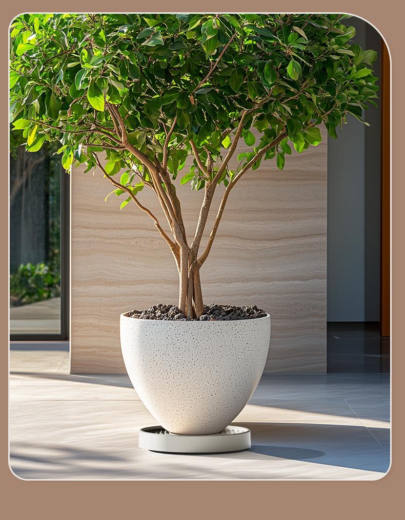 Large Movable Flower Pot Tray with Universal Wheels & Water Collection, Thick Plastic