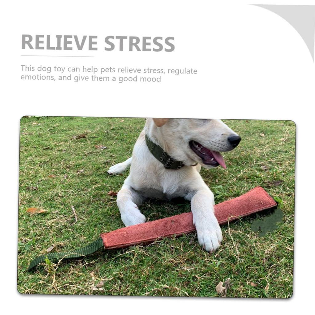 SAFIGLE Dog Bite Stick for Dog Training Hunting Outdoor Pet Difficult Dog Tug Chew Toy for Cowhide Bite-Resistant Puppies, Toy, Stick, Leather,