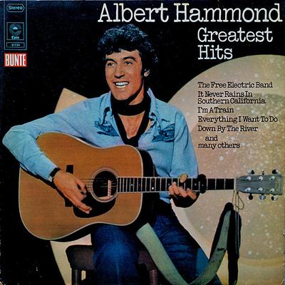 LP Schallplatte ALBERT HAMMOND - Greatest Hits 81735 Epic 1976 Niederlande Rock Gebraucht