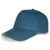 Stock 5 Panel Cotton Baseball Caps for Women Men Plain Blank Cheetah Leopard Embroidery Outdoor Sports Common Fabric