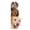 Home Decor Schöner Hund/Katze Wandaufkleber Abnehmbare Schlafzimmertür DIY Aufkleber Home Decor