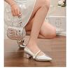 Niche pointed silver single shoes low heel Mary Jane women's shoes 3 cm small heels thick heel high heels French shoes