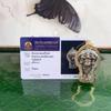 Thai Buddhist Multi-Armed Ganesha Amulet Pendant with Authentication Card