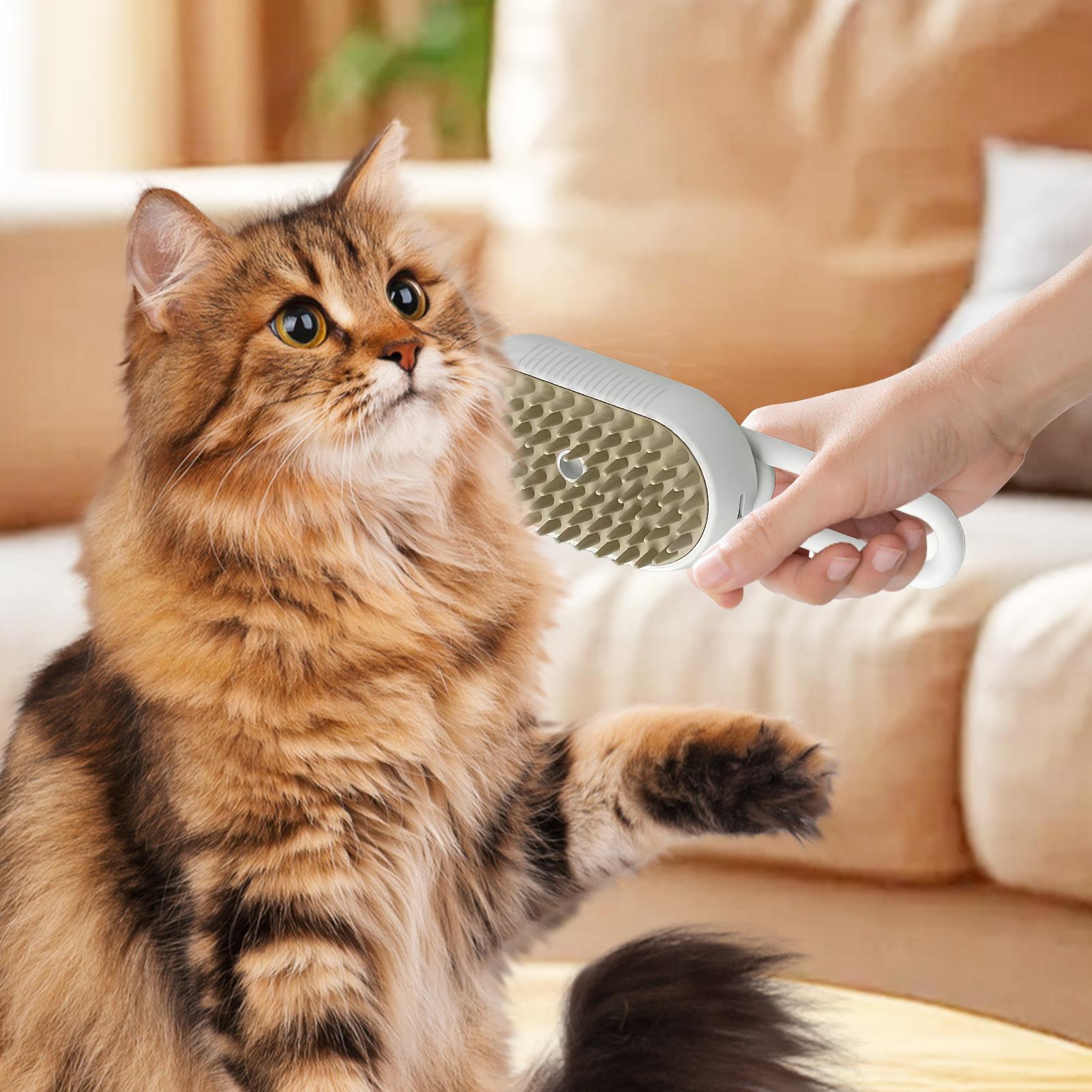 

Pet Steam Brush For Dog USB Charging Detangling Brush Quiet Gentle Steam Massager For Bunny Kitten Puppy Shower Home Travel China Mainland